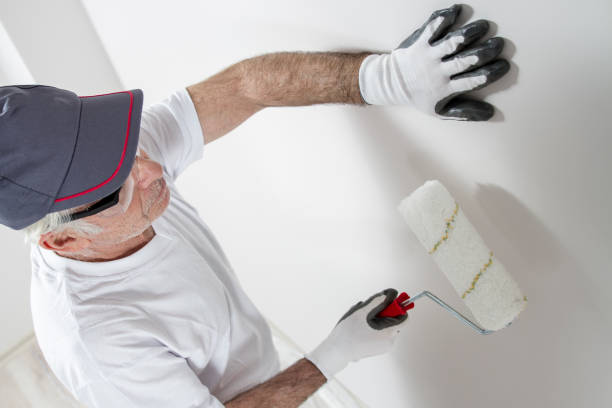 Professional Mold Removal in New Lexington, OH