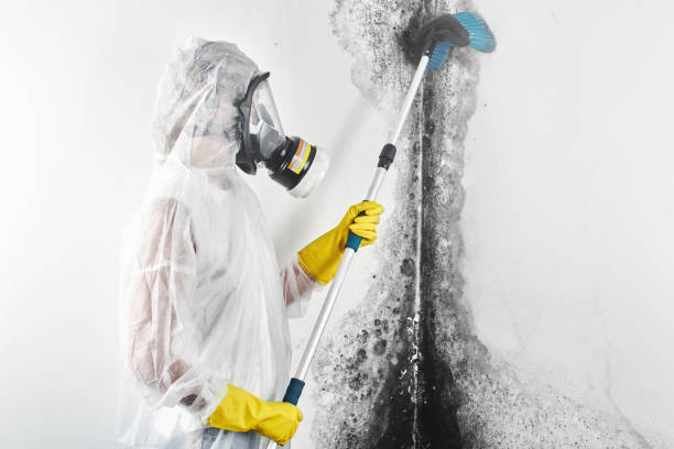 Best HVAC Mold Inspection and Cleaning  in New Lexington, OH
