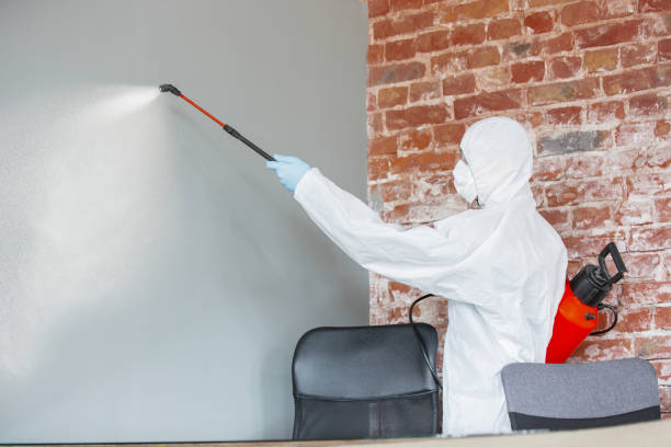 Best Real Estate Mold Inspection  in New Lexington, OH
