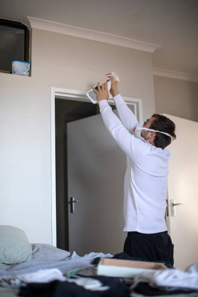 Best Mold Damage Restoration  in New Lexington, OH