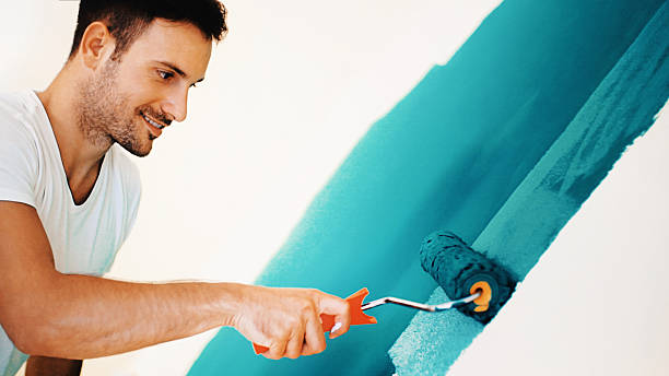 Best Mold Documentation for Insurance Claims  in New Lexington, OH